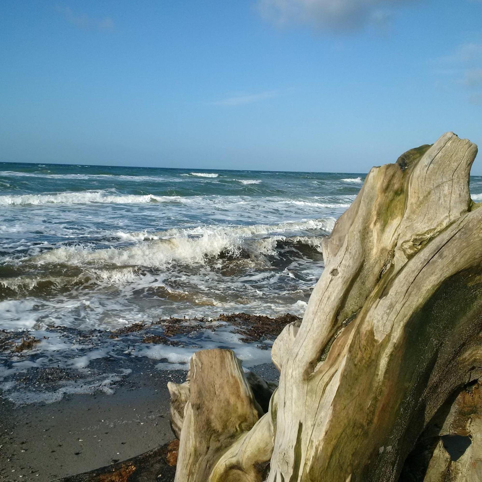 Duene-9 In Dierhagen-Strand 客房 照片