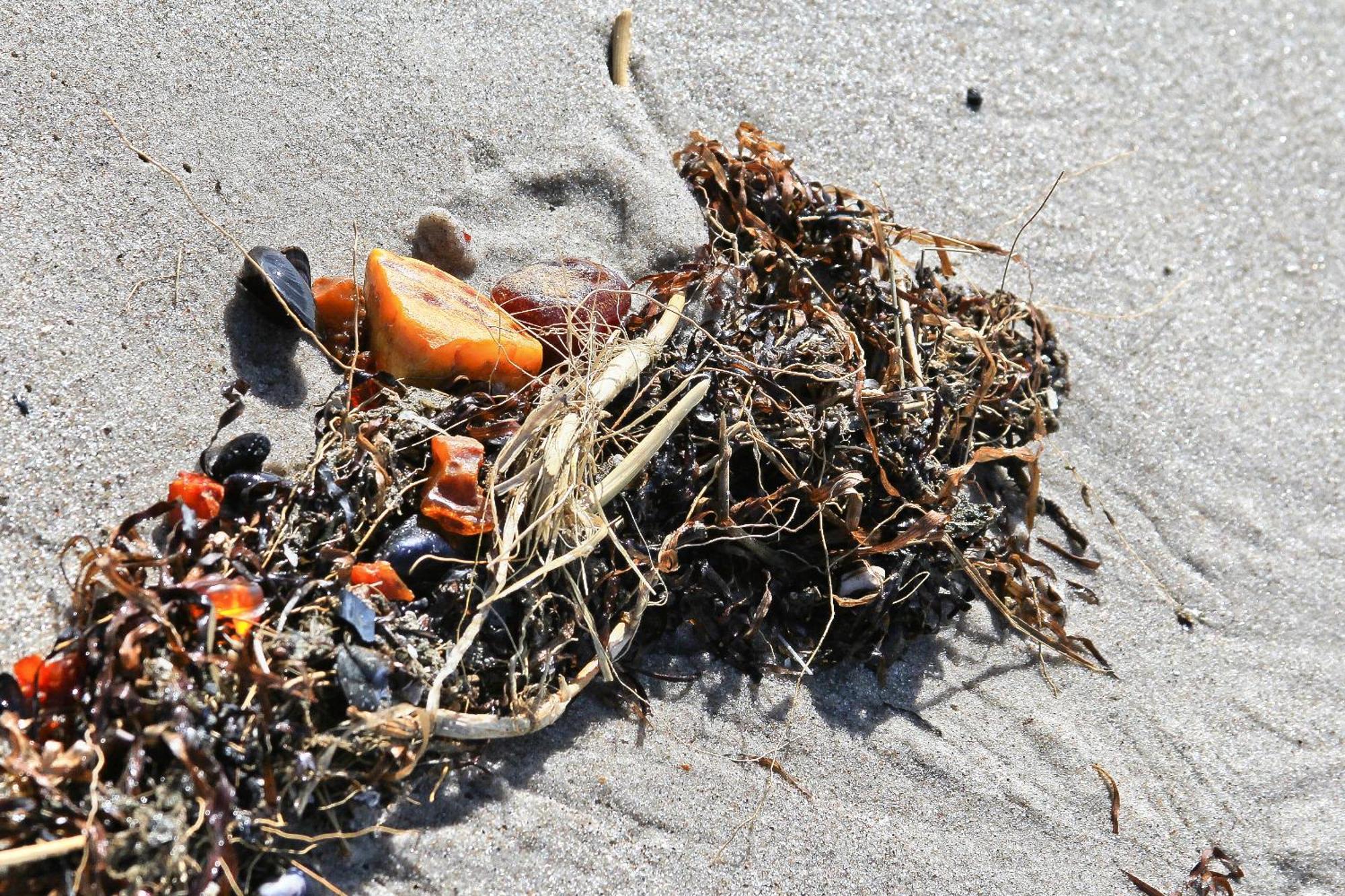 Duene-9 In Dierhagen-Strand 客房 照片
